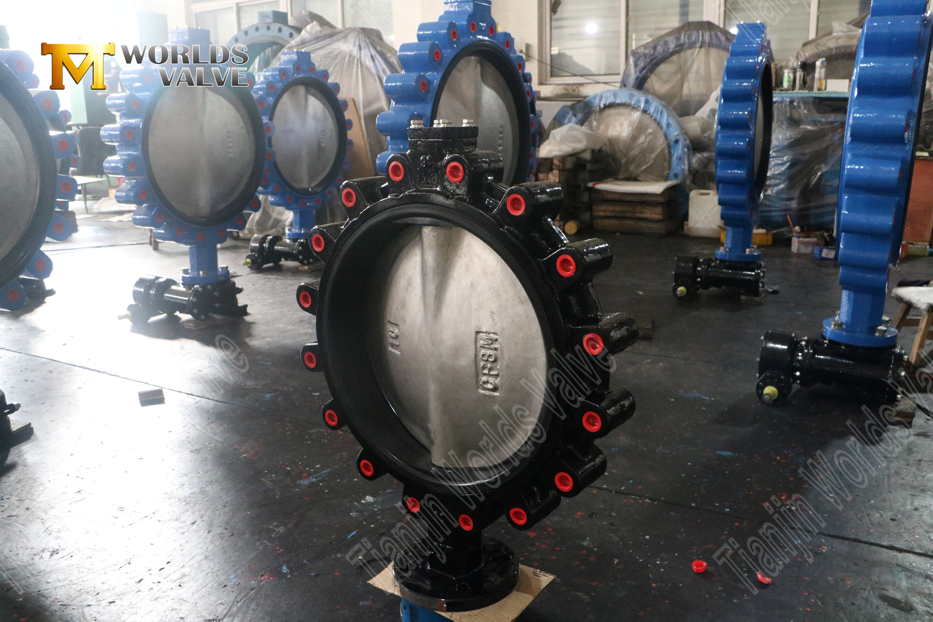 Valve de papillon EPDM avec CF8M Disc-Lug Butterfly Valve Fabricant-1 (2)