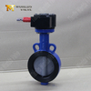 Vanne de papillons à plaquette avec disque revêtu en nylon et corps WCB | Résistance à la corrosion rentable