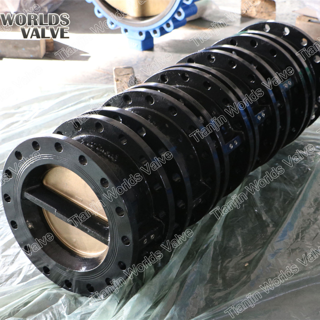 Clapet anti-retour à double porte et à double bride anti-retour