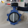 Vanne papillon à cosse PN16, corps en fonte ductile et disque CF8M | Fournisseur de vannes OEM en Chine