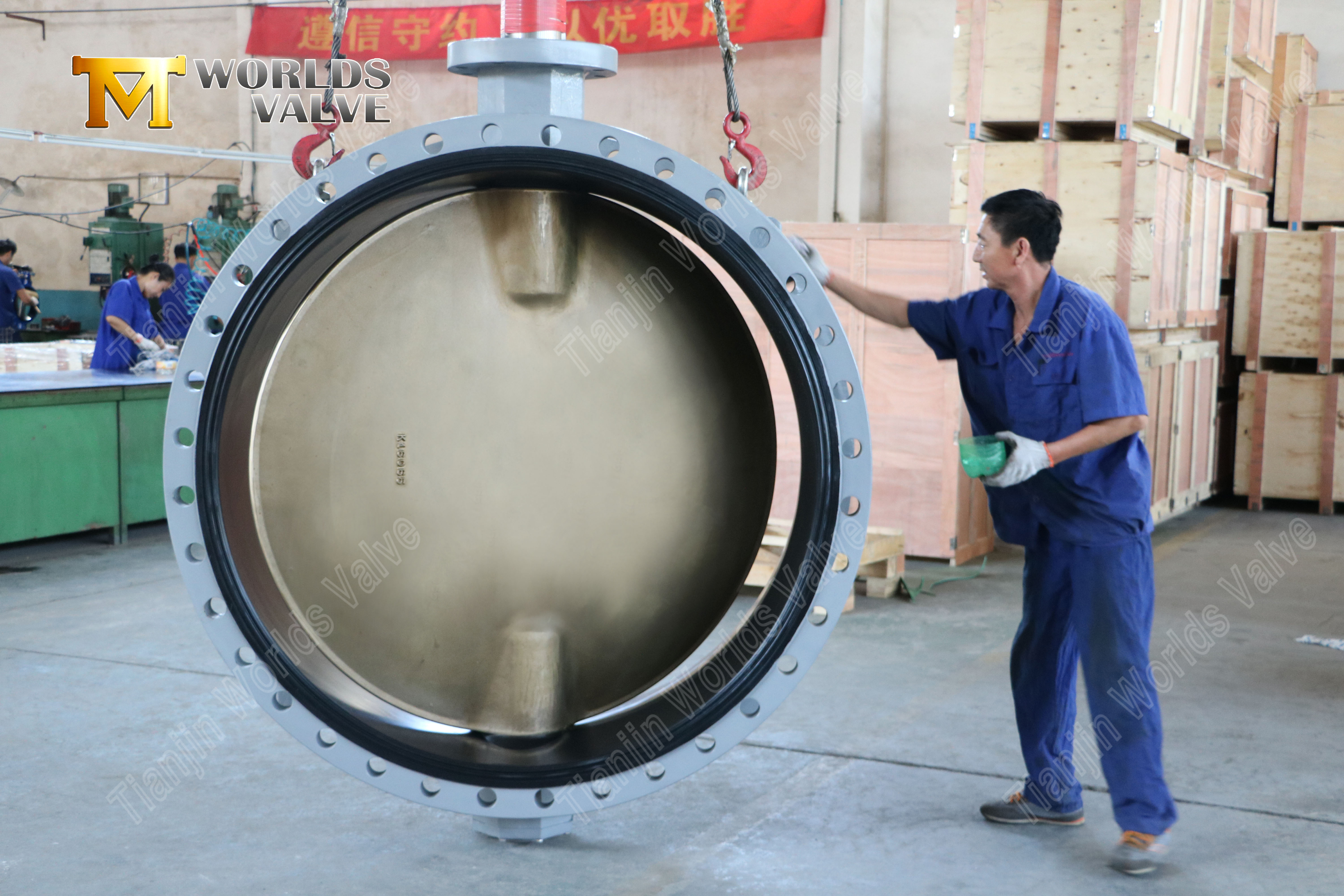 Vanne papillon &agrave; double bride en bronze d'aluminium (3)