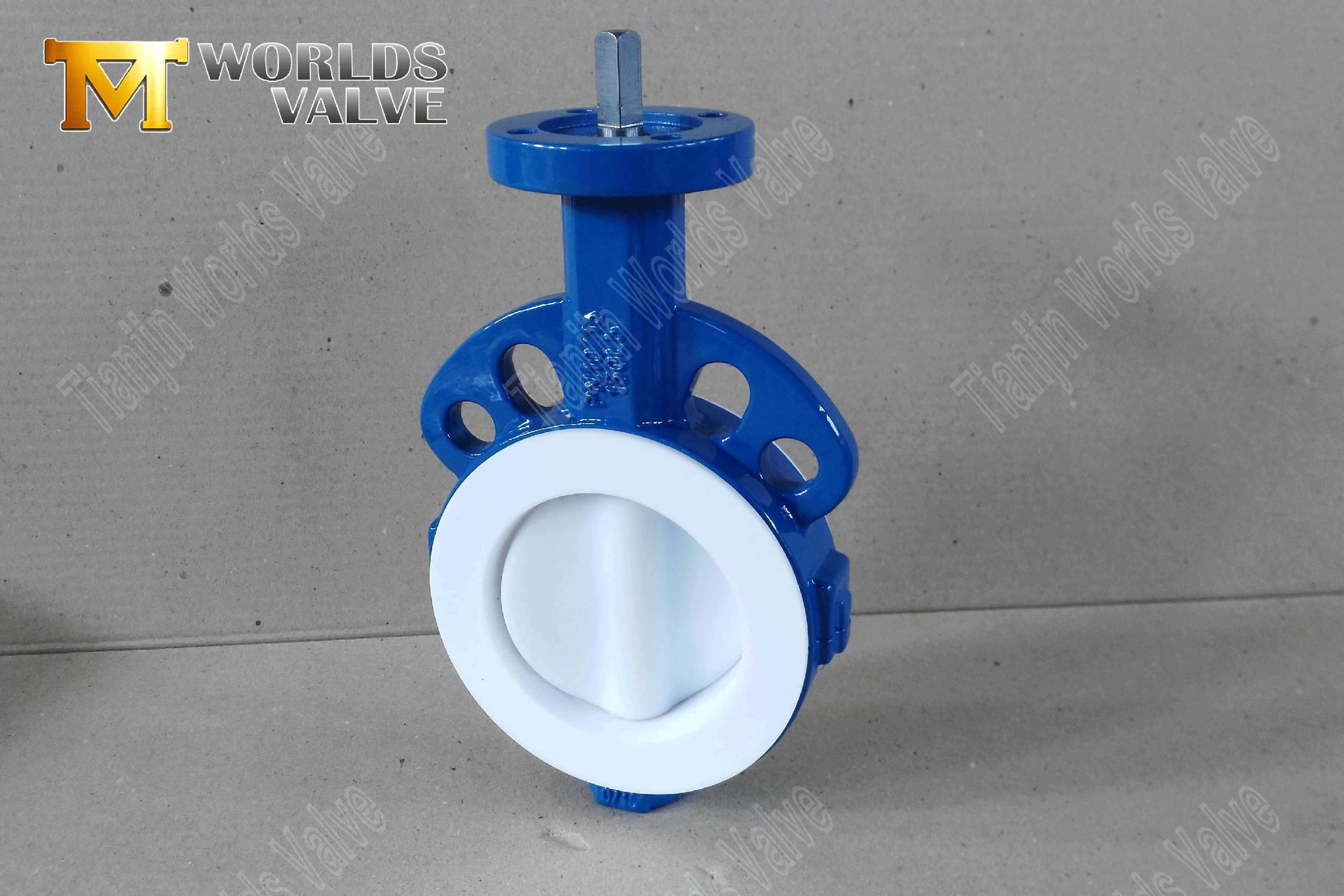 Ptfe-bingefly-valve2