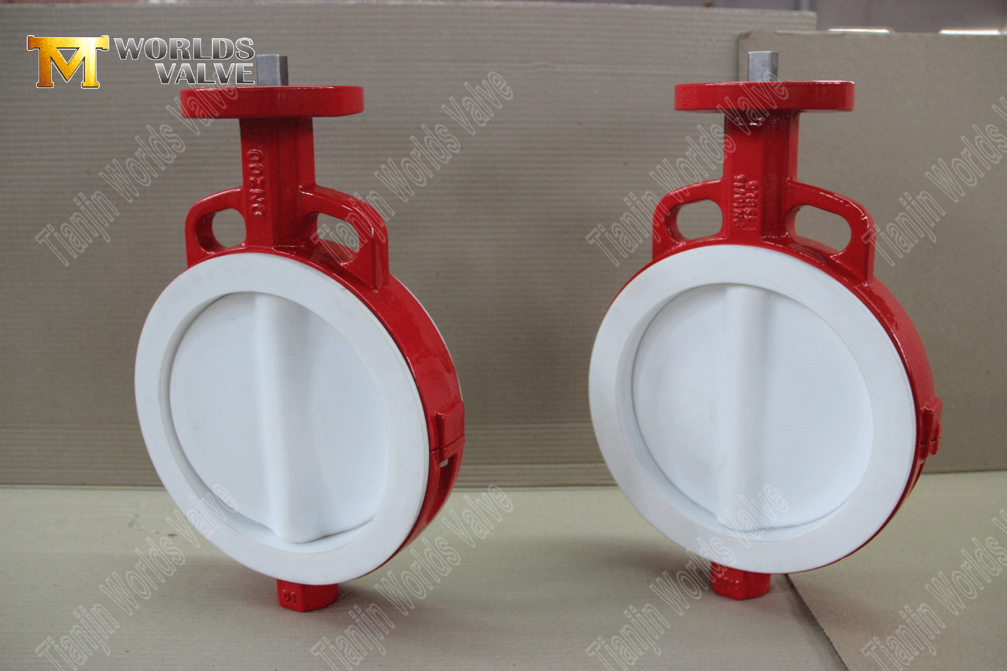 PTFE-Lined-Wafer-Butterfly-Valve- (4)