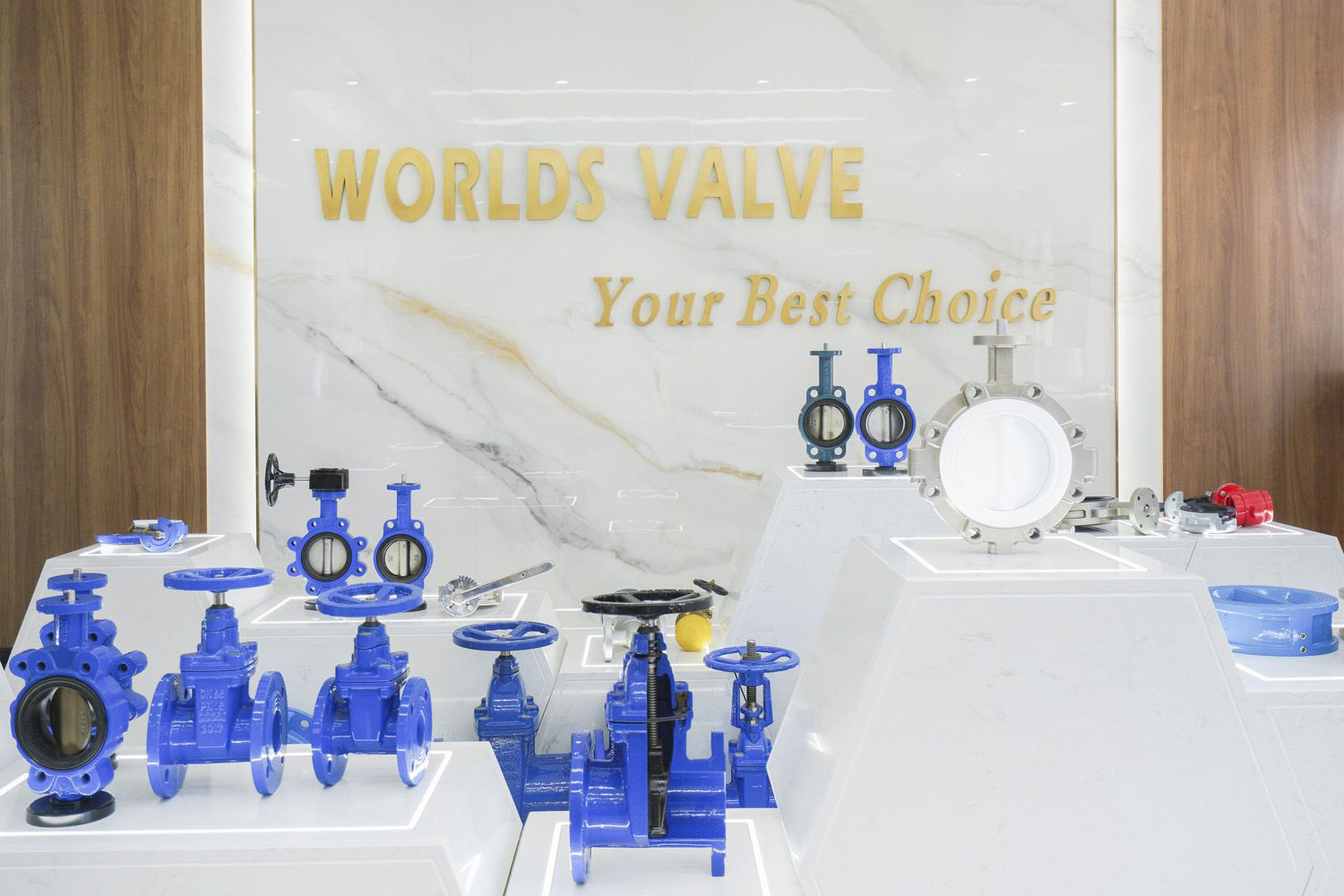 Tianjin-worlds-valve-co-ltd - (8)