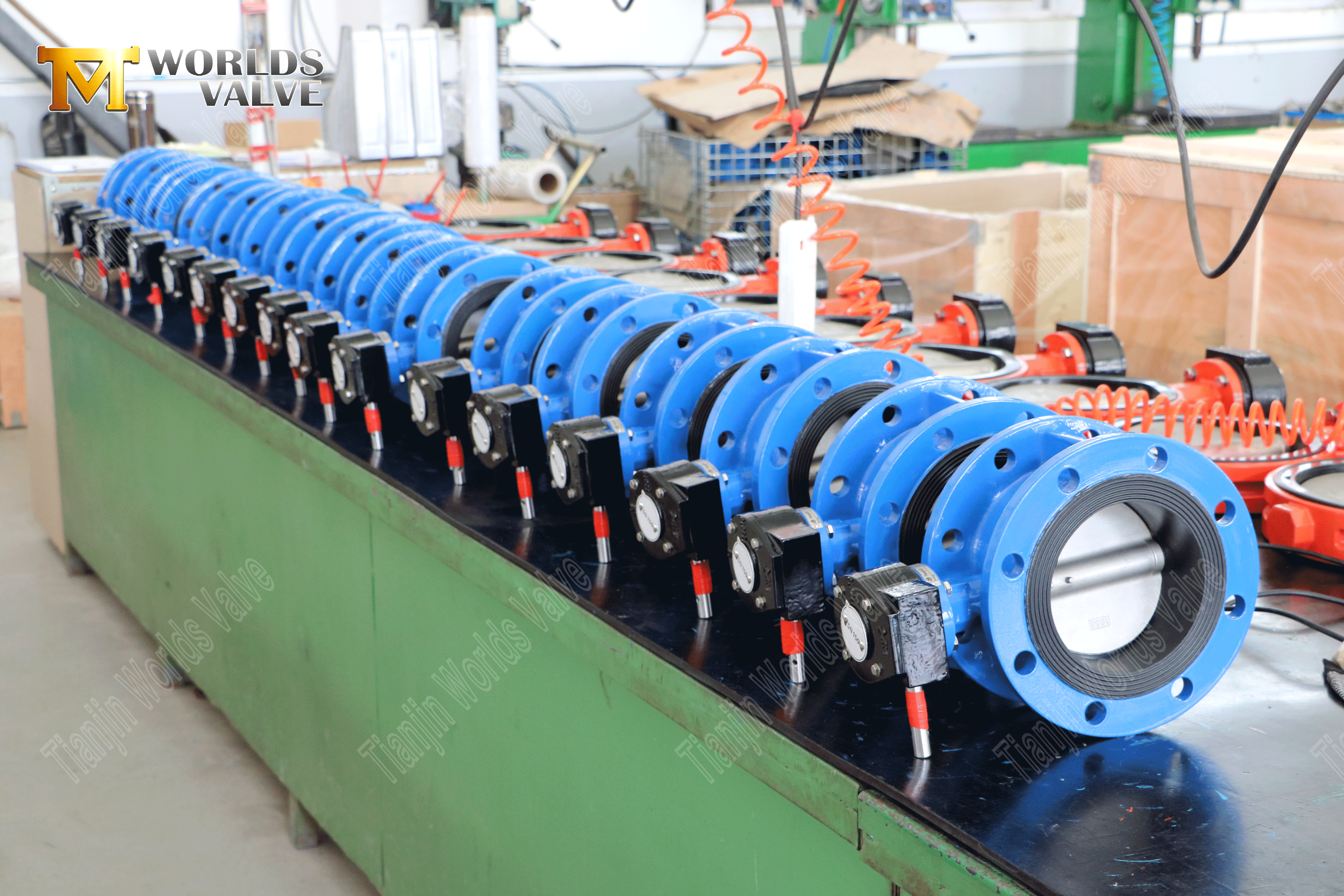 Valve papillon &agrave; double brille avec corps SS complet et disque-2 (2)