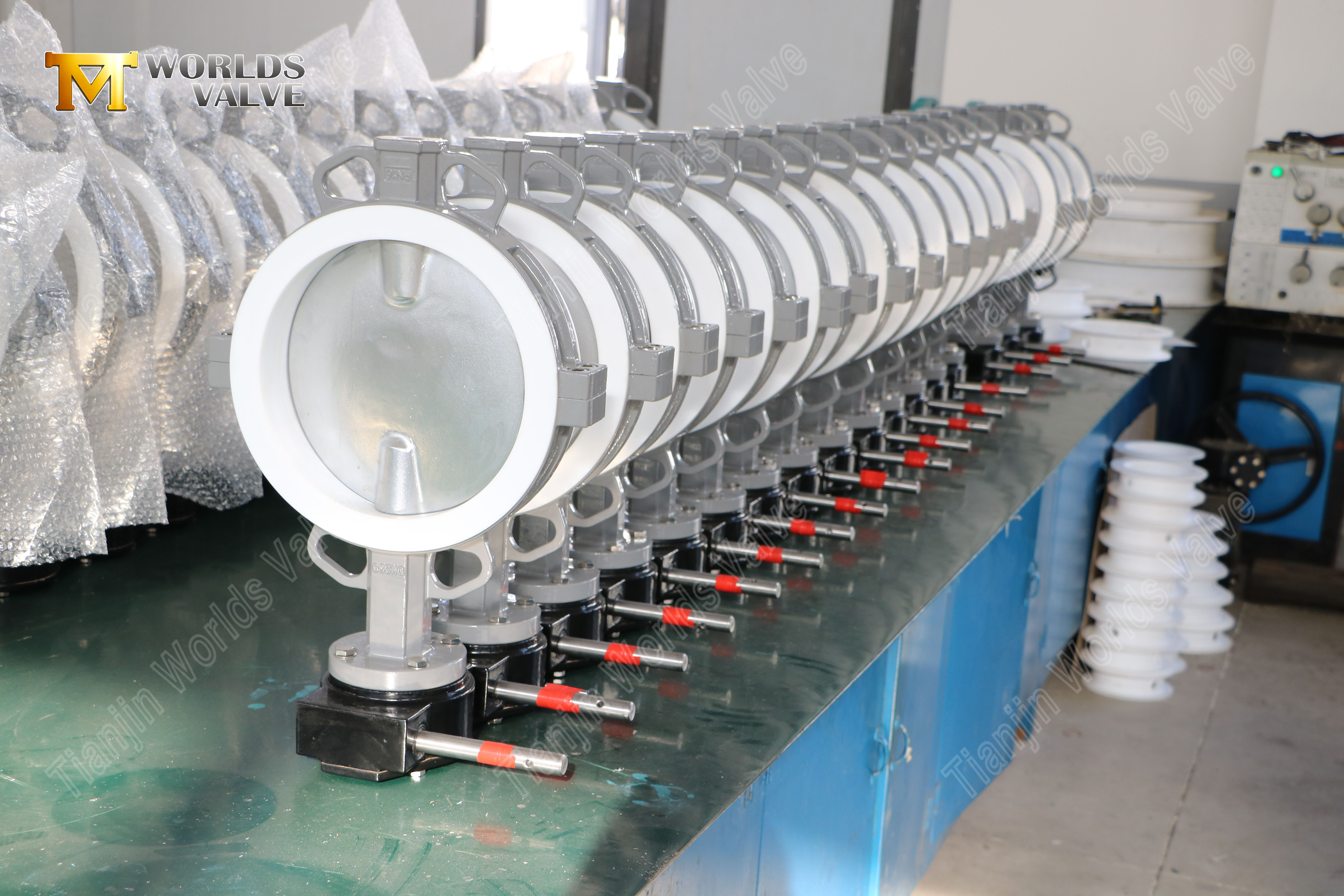 Divis&eacute;-body-pse-lin&eacute;-SS-Butterfly-Valve-with-pneumatic-Actuation-5