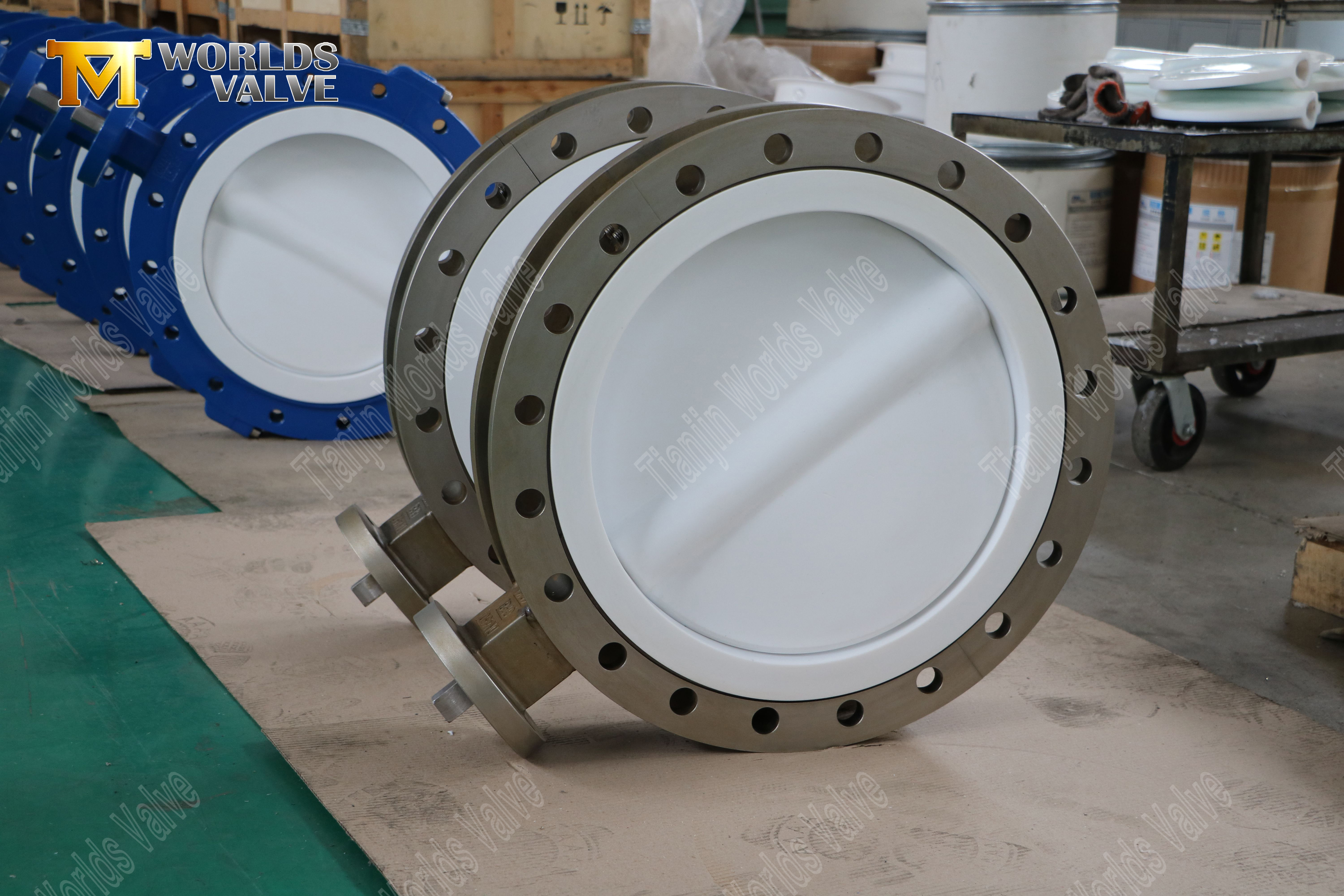 CF8M Split Body Butterfly Valve avec disque PTFE et SEAT-3 (1)