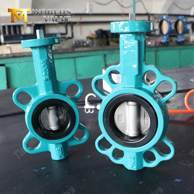 Siège en caoutchouc et disque SS Vanne papillon à plaquette en fonte ductile | Solution industrielle rentable