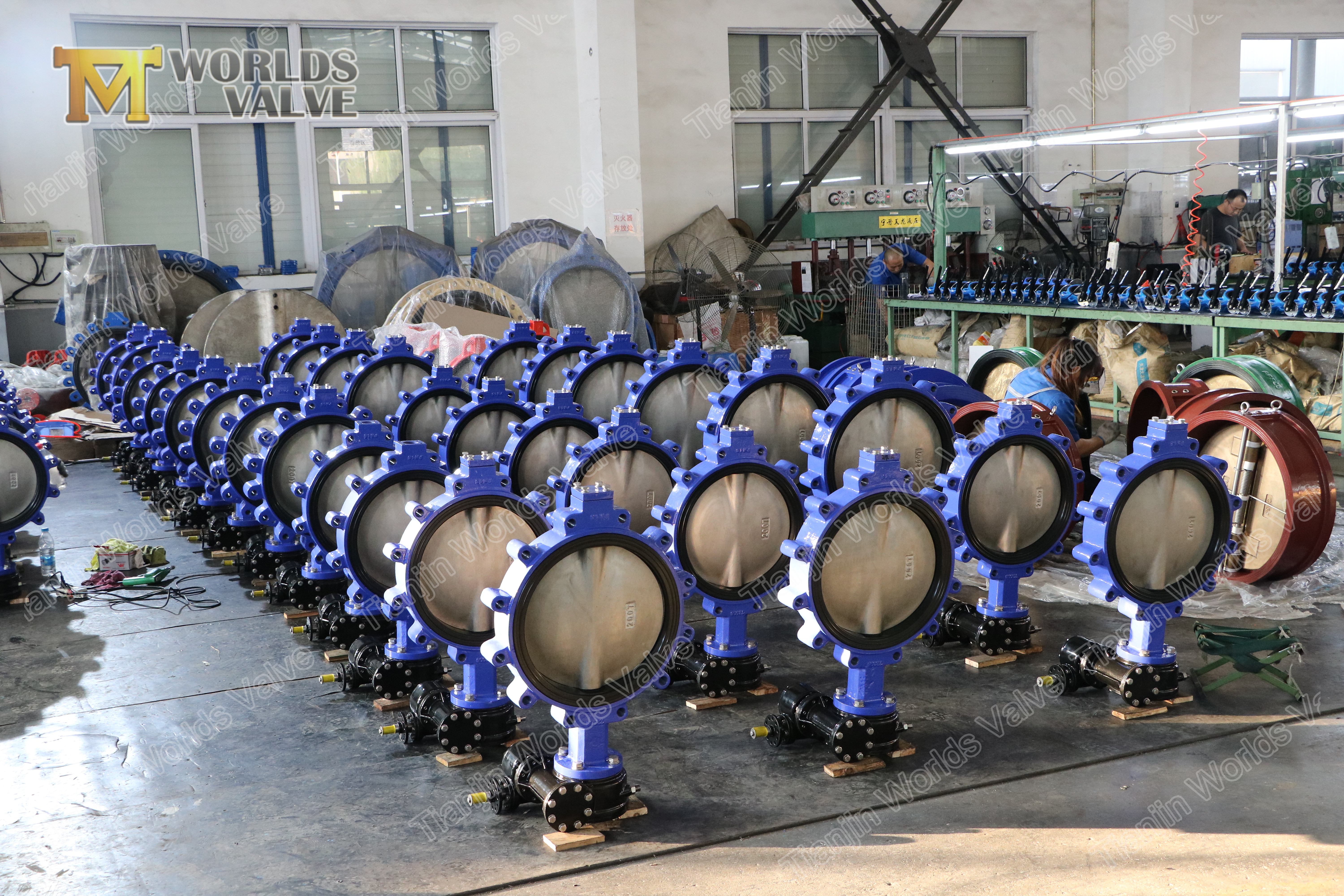 4 A536 A395 Valve papillon du Caf&eacute; ductile,