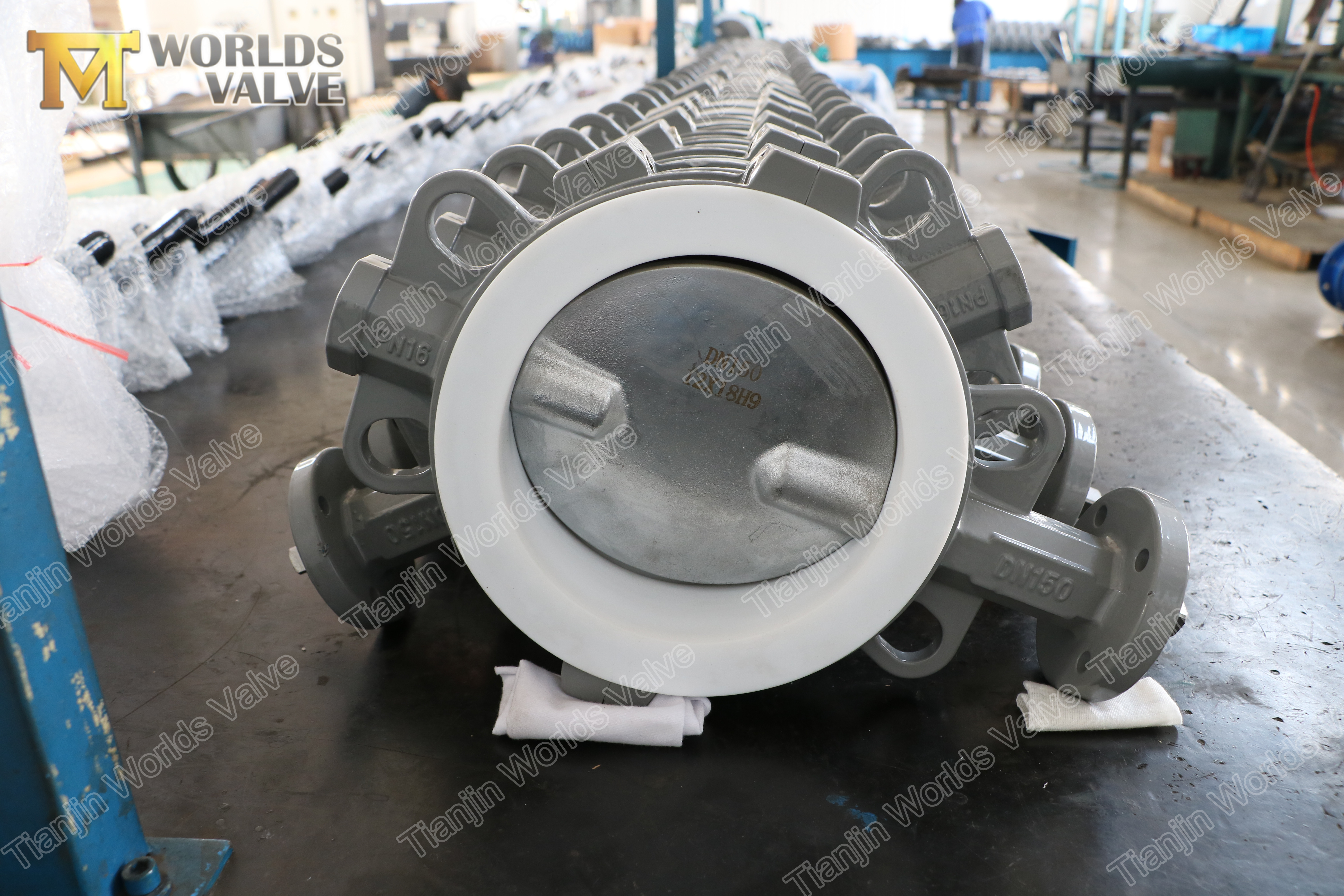 2 Type de doublure PTFE Plein PTFE Type Concentric Butterfly Valve