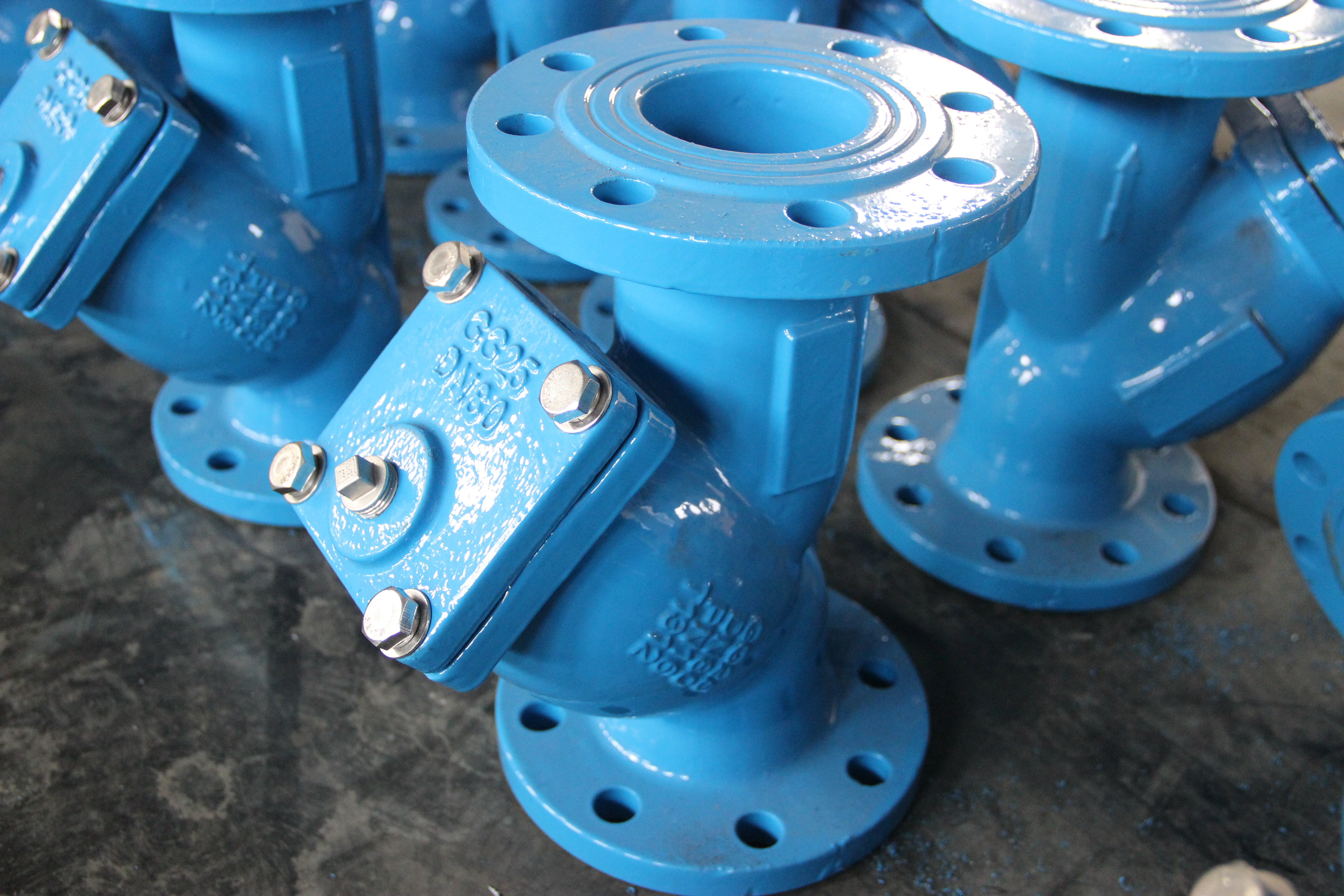 Filtre de type Y DN80, corps en fonte ductile, connexion &agrave; bride, protection de pipeline industriel (1).JPG