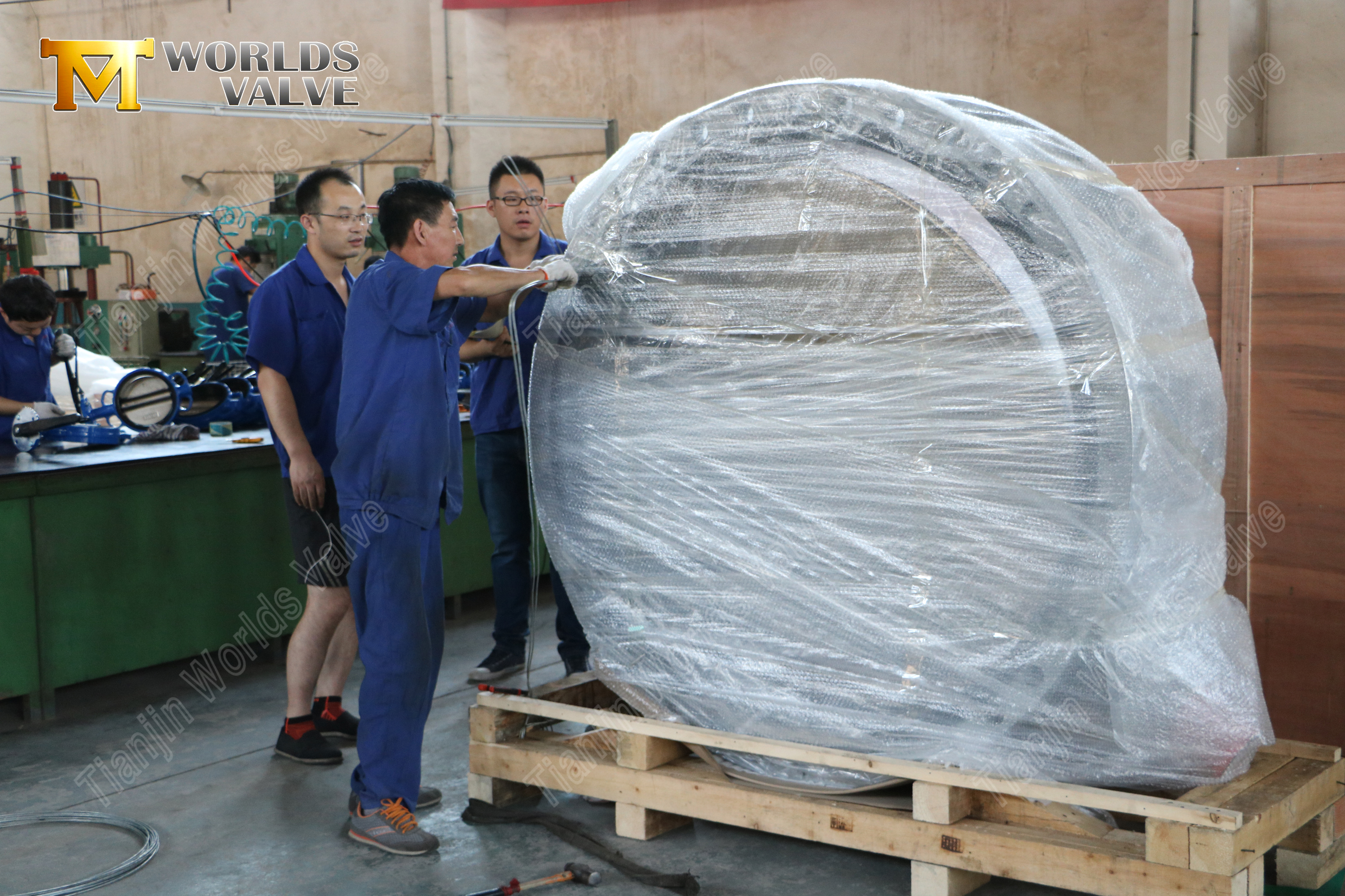 Vanne papillon &agrave; double bride &agrave; disque en bronze d'aluminium (2)