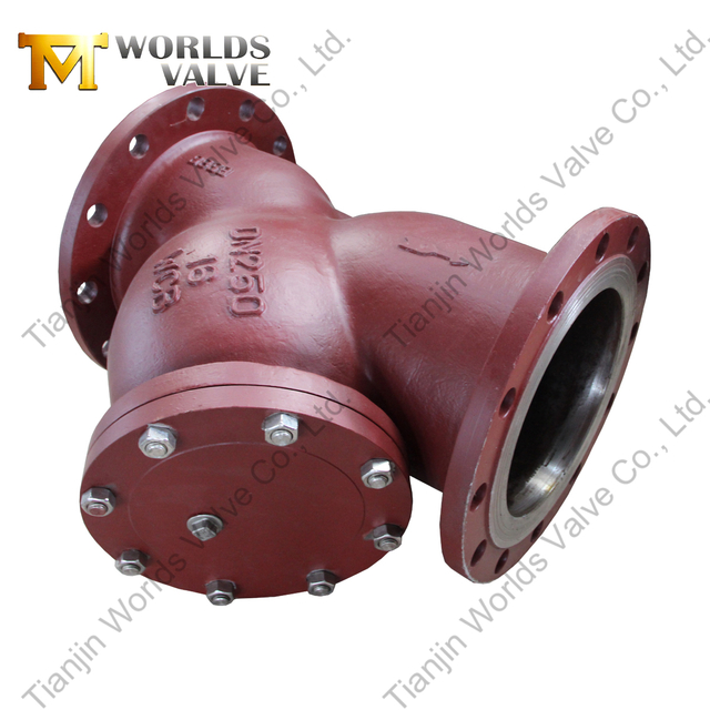 Crépine de type Y à bride | Acier au carbone WCB | Protection des pipelines industriels