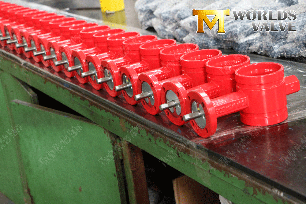 Valve de papillon &agrave; extr&eacute;mit&eacute; rainur&eacute;e pour la protection contre les incendies (3)