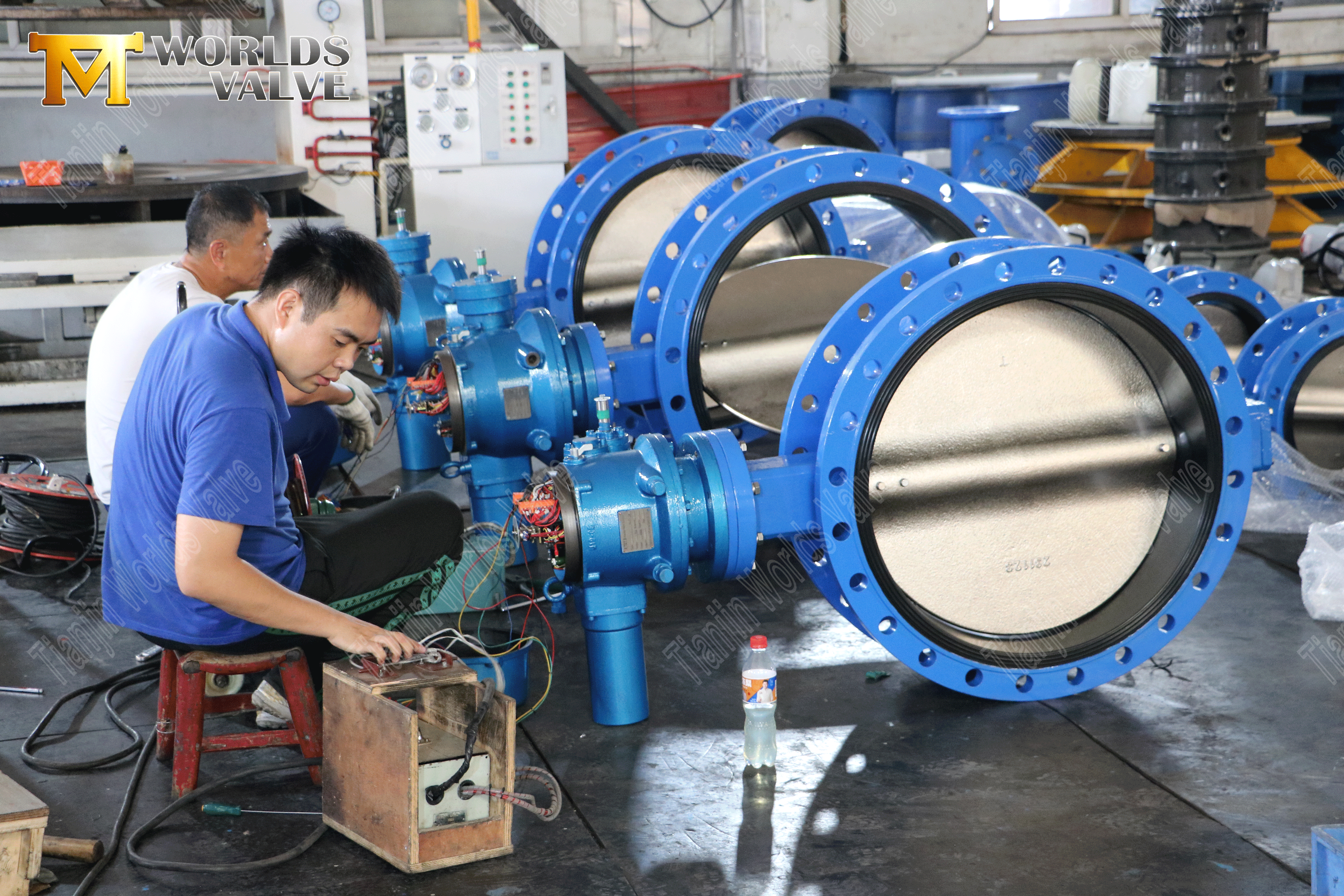 Usine OEM pour soupape de papillon - Agructeur &eacute;lectrique de type avalves de papillons (1)