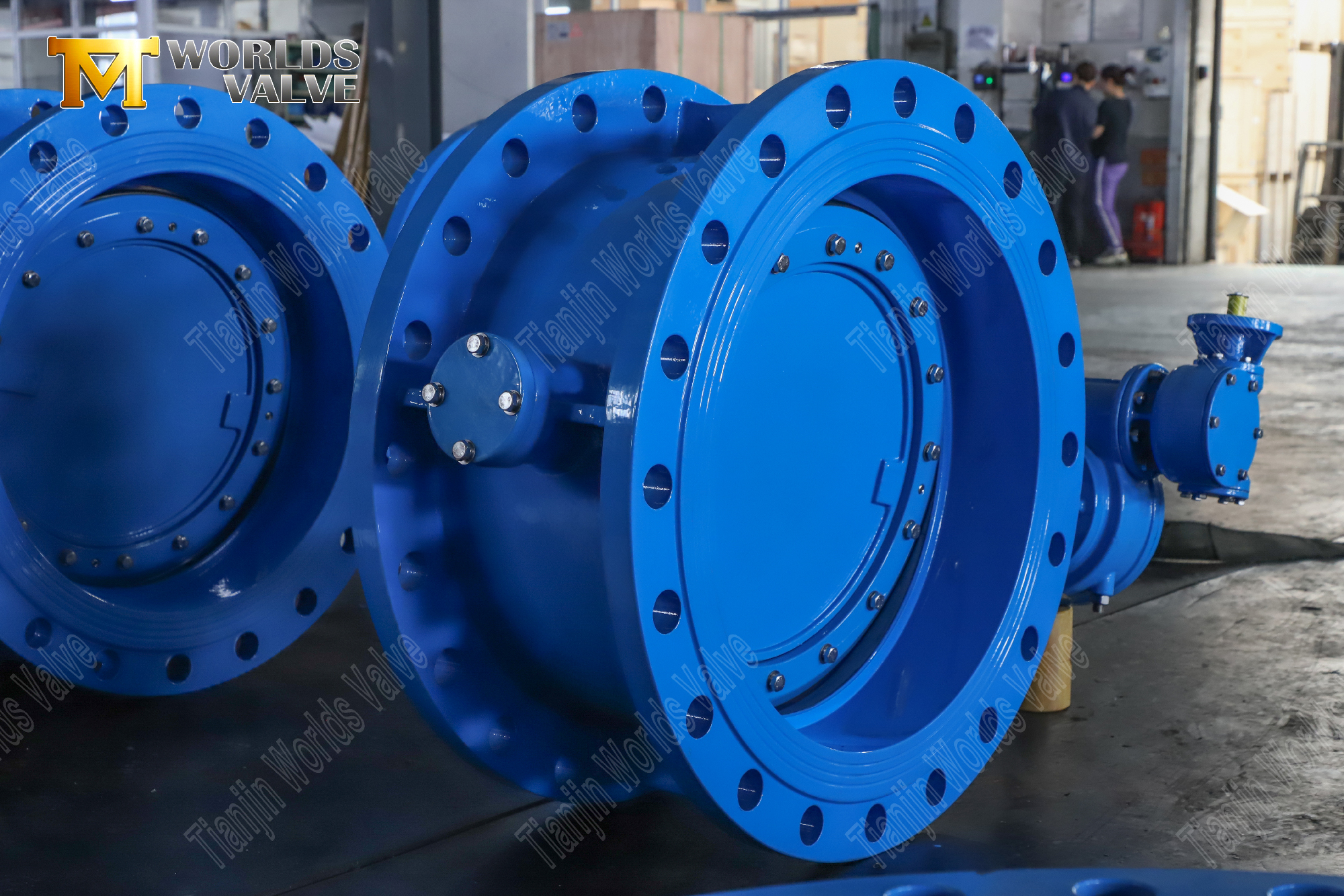 Double offset PN25 Butterfly Vanne avec des brides doubles et Operator-3 (2)