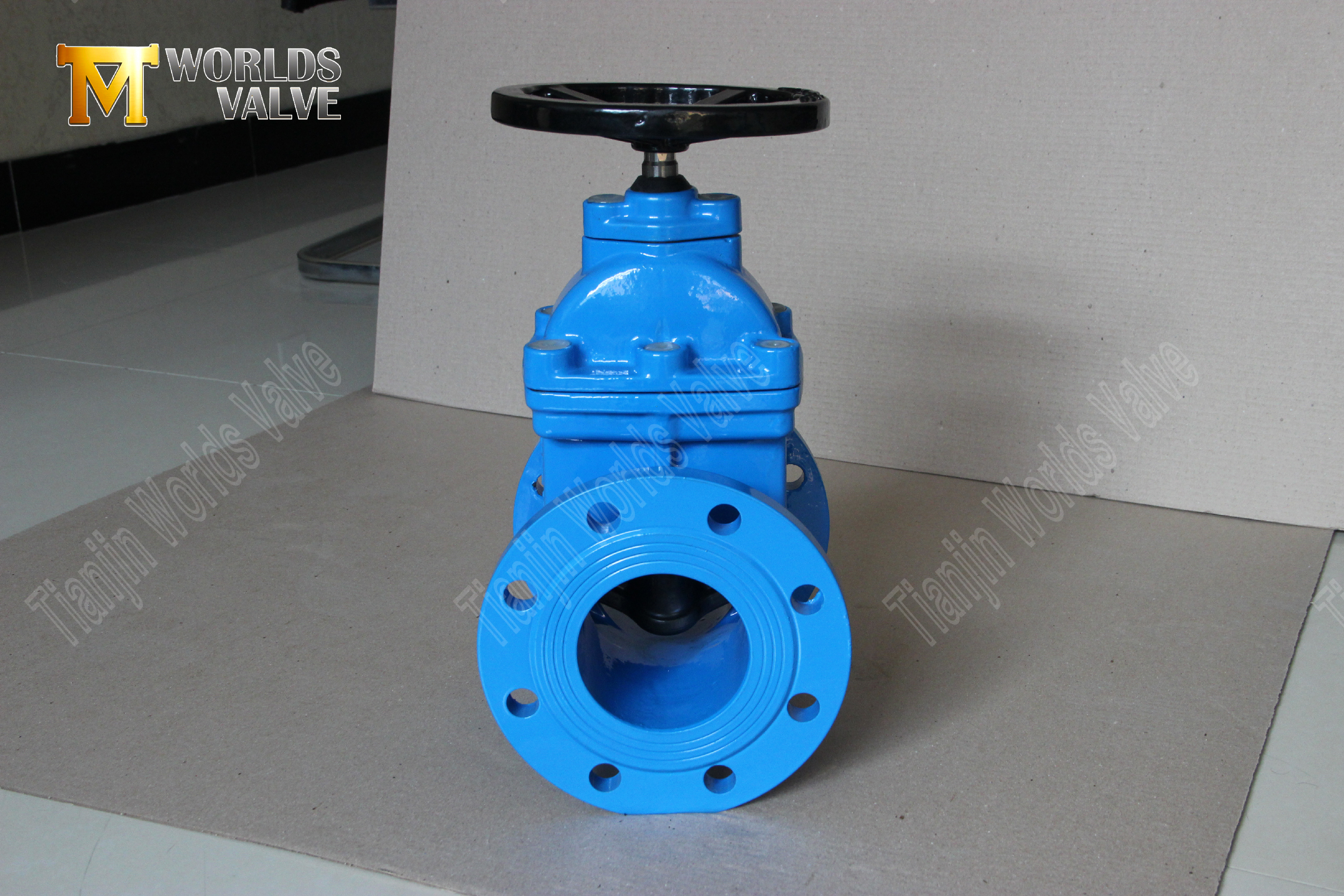 Vanne de porte de si&egrave;ge r&eacute;siliente avec type de bride