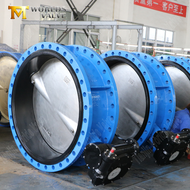 Vanne papillon à bride double avec corps et disque SS complet | Solution industrielle à l'épreuve de la corrosion
