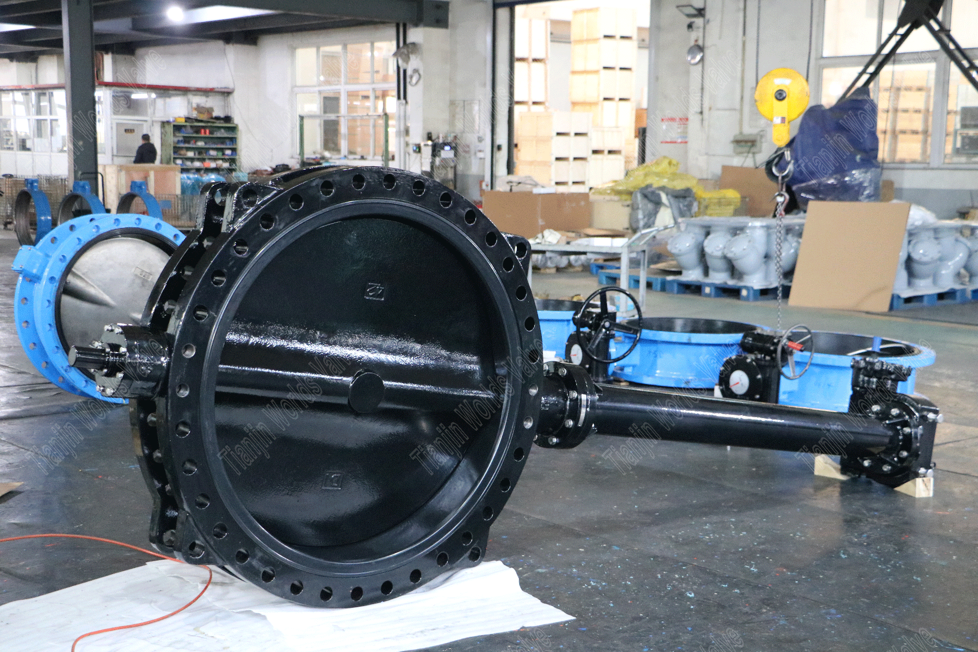 Disc DI avec une soupape de papillon enrob&eacute;e en nylon avec broche d'extension (3)