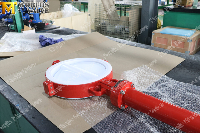 Fabricants de soupape de papillon doublé de téflon