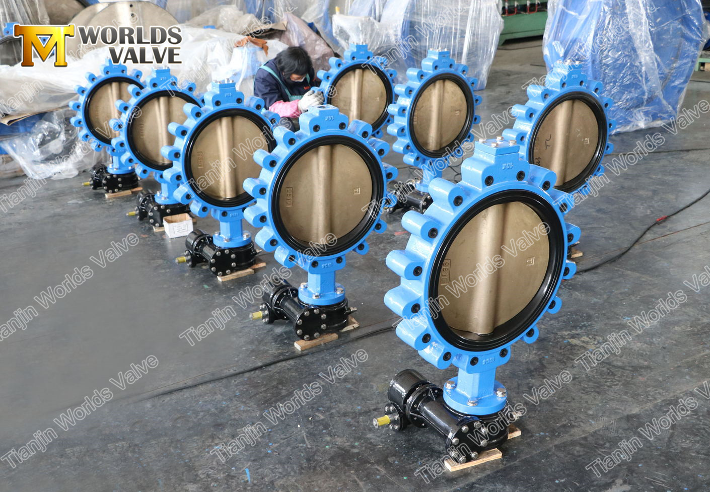 Soupape papillon de type &agrave; 6 pattes avec bo&icirc;te de vitesse