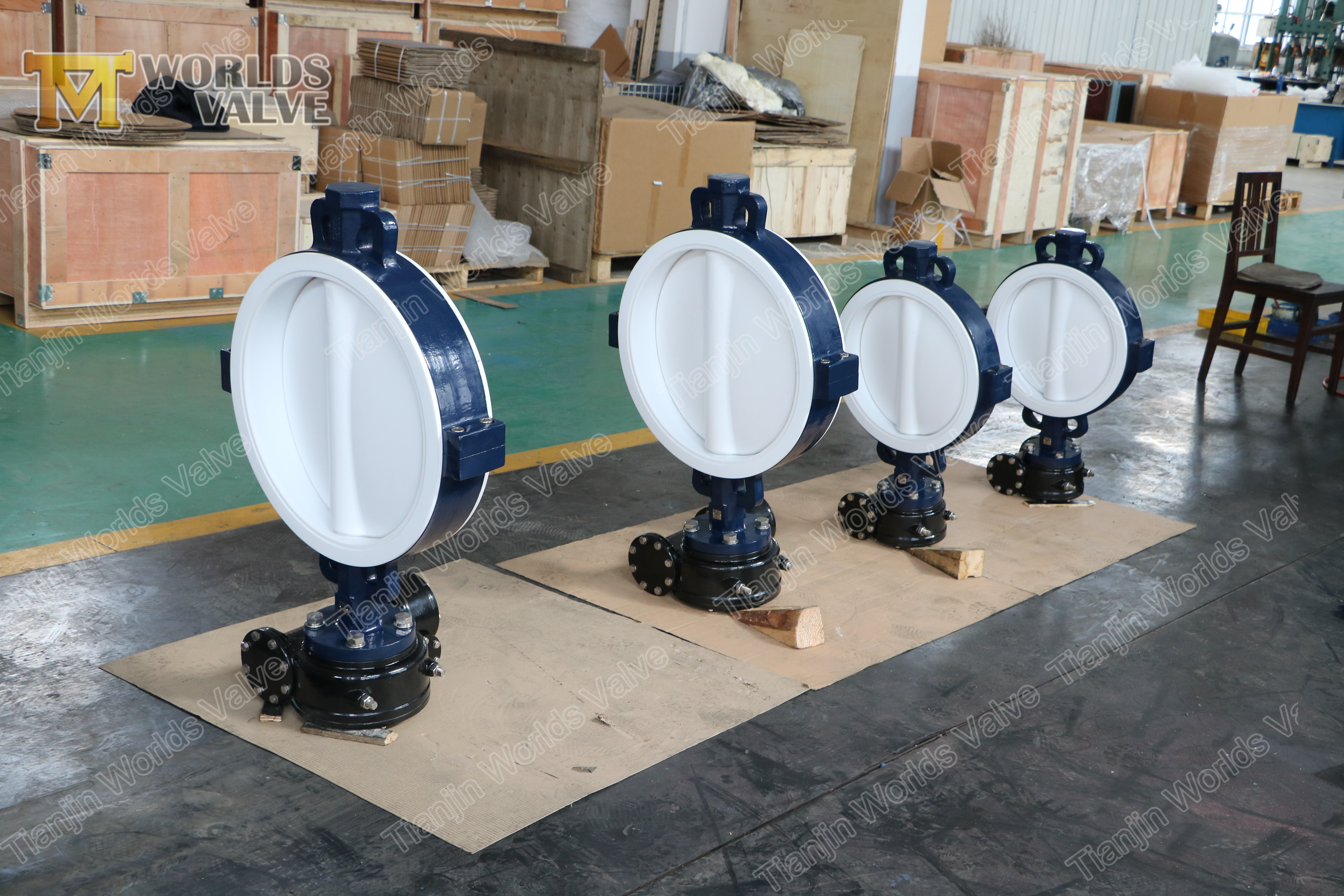 5 A536 A395 DUCTILE FER PTFE Butterfly Valve