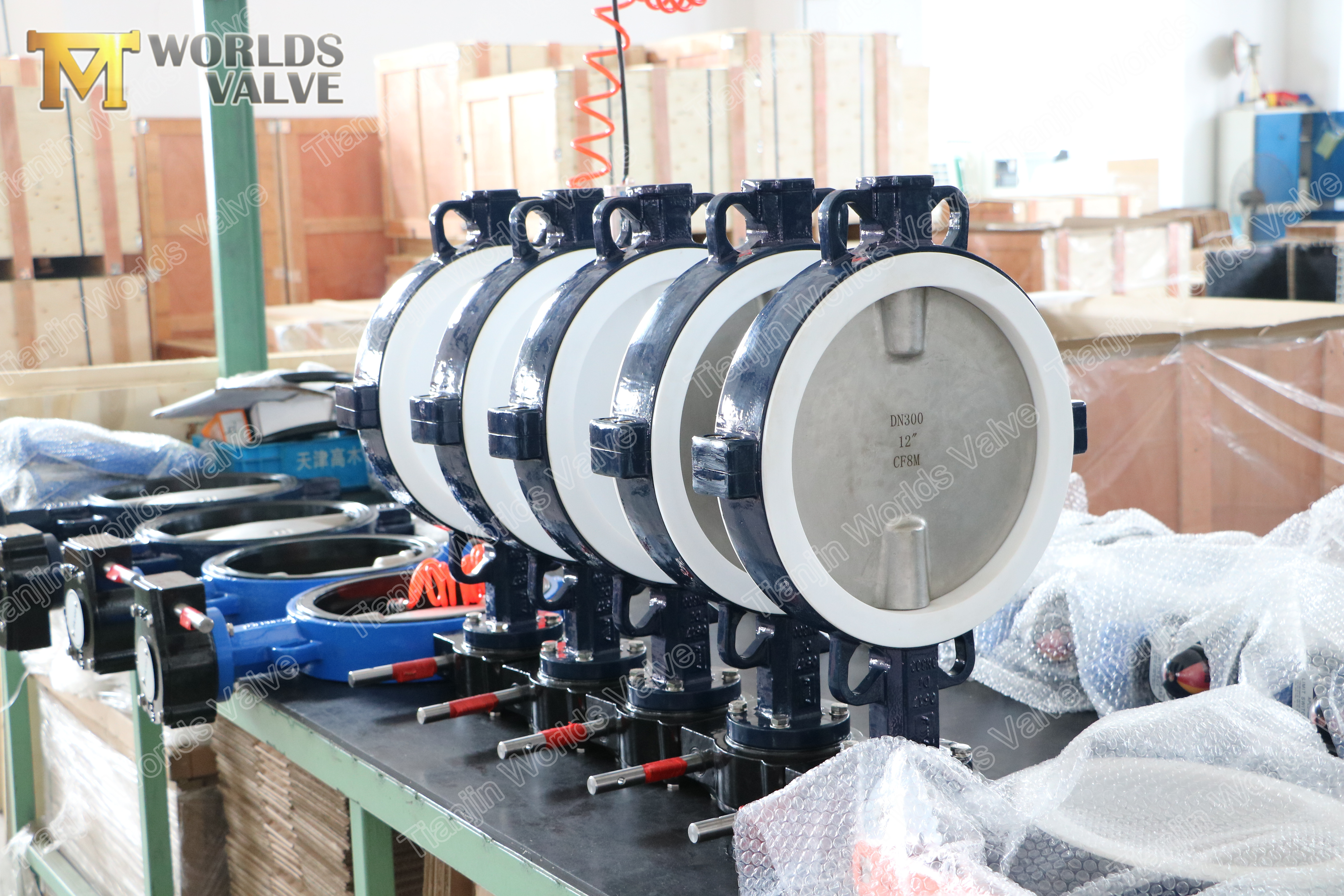 Vanne papillon en fer ductile ductile 3 A536 A395