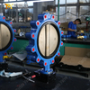 Vanne papillon à cosse PN16, corps en fonte ductile et disque CF8M | Fournisseur de vannes OEM en Chine
