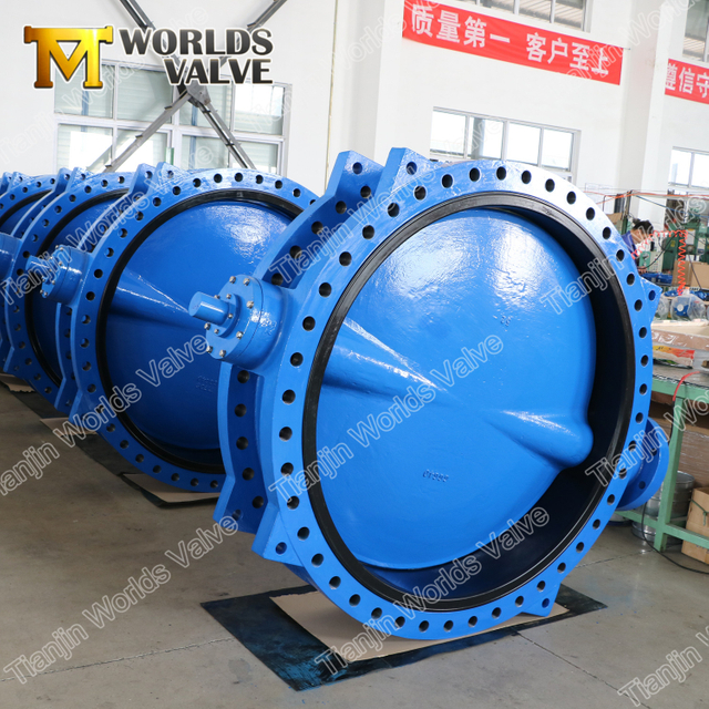 Soupape à papillon avec disques de peinture Double section U à double bride