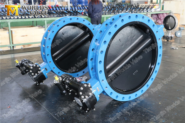 Vannes papillon en caoutchouc à section en U à disque peint Halar