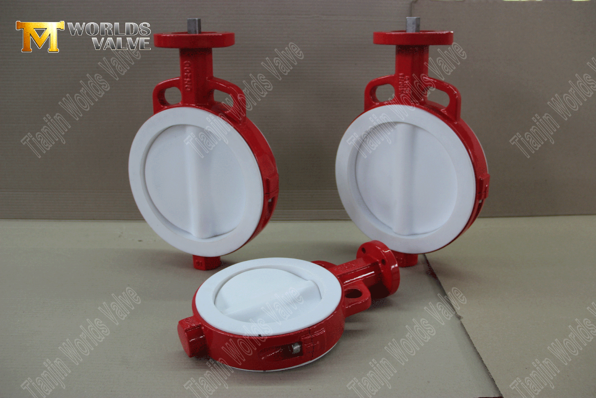 Ptfe-lined-butterfly-vaves-wafer-type-butterfly-valve-factory-from-china- (1)