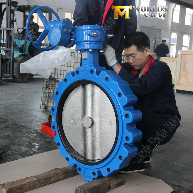 OEM | Vanne ODM Fabricant - Vannes de papillon assis de style de style fidèle