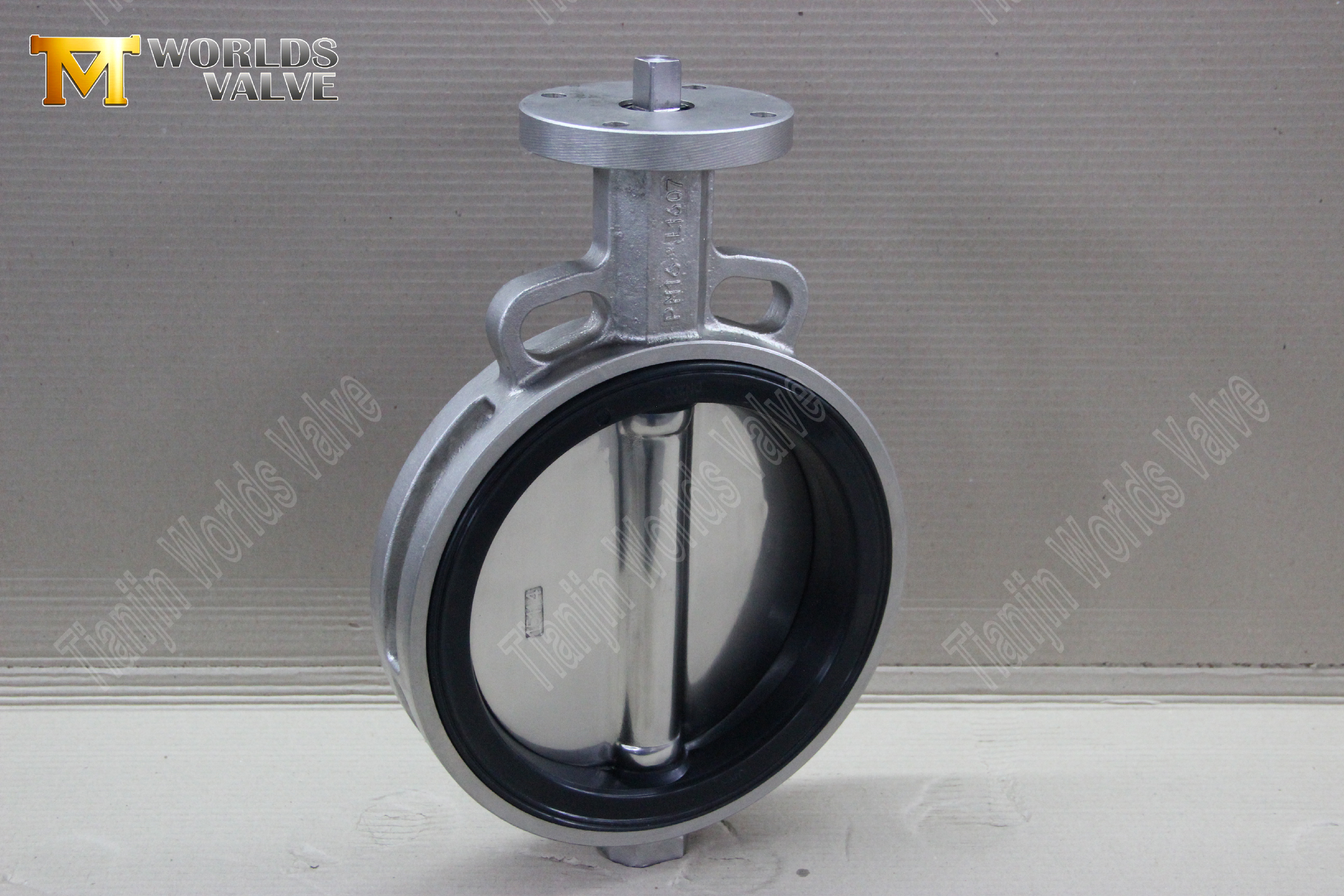 Vanne papillon de type plaquette avec corps de soupape en acier inoxydable et disque-2 (2)