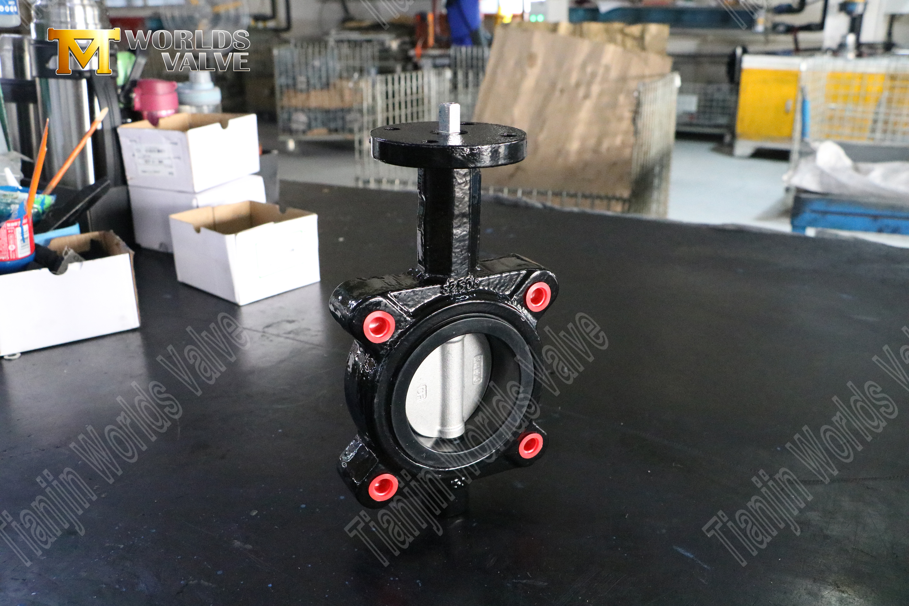 Vanne papillon EPDM avec CF8M Disc-Lug Butterfly Valve Fabricant-1 (3)