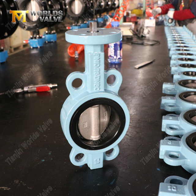 Vannes papillon de type plaquette en fonte ductile | Fournisseur de vanne papillon OEM