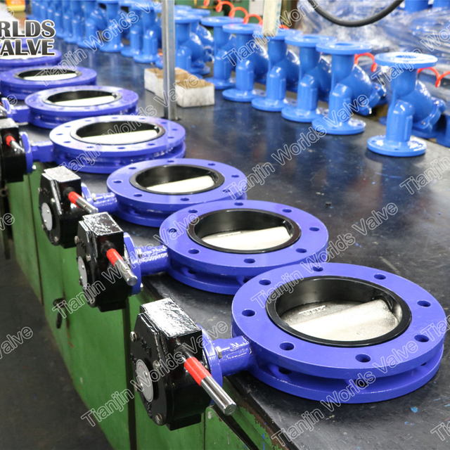 Valve OEM China Fournisseur-U SECTION DE PAPILLE DOUBLE BUTTERFLY AVEC avec disque revêtu d'EPDM