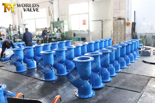 Crépine de type Y en fonte ductile avec filtre à tamis en acier inoxydable