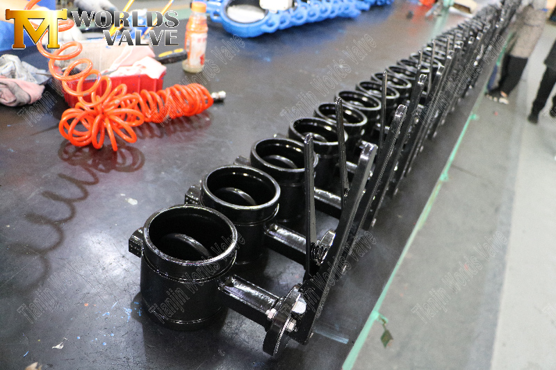 rainoute-end-wafer-butterfly-valve-with-hand-lever