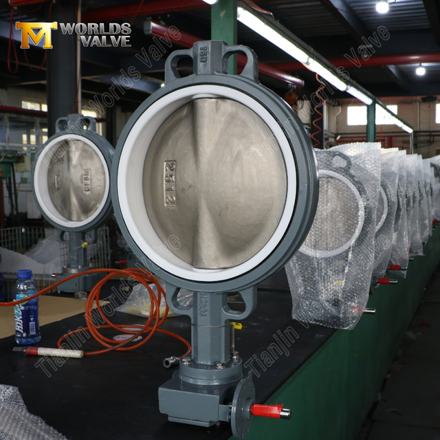Vanne papillon à plaquettes en fonte ductile avec siège en PTFE et disque CF8M