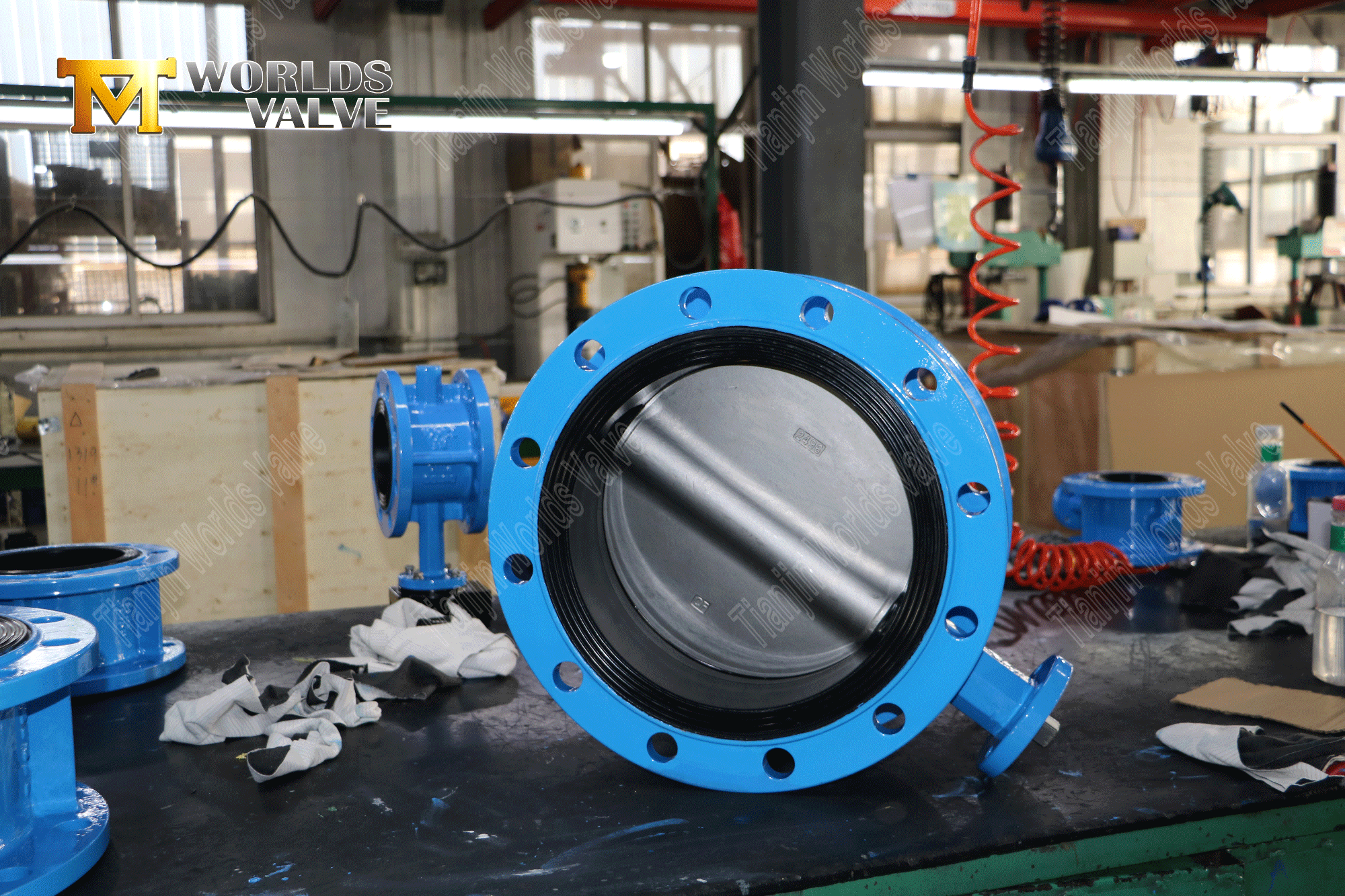 Valve papillon &agrave; bride double