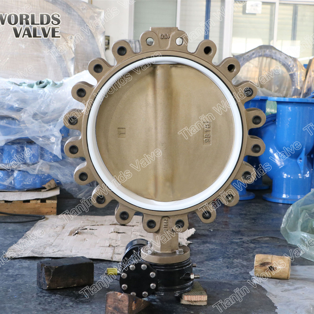 Siège PTFE C954 C958 C955 Corps en bronze d'aluminium et vanne papillon concentrique à disque