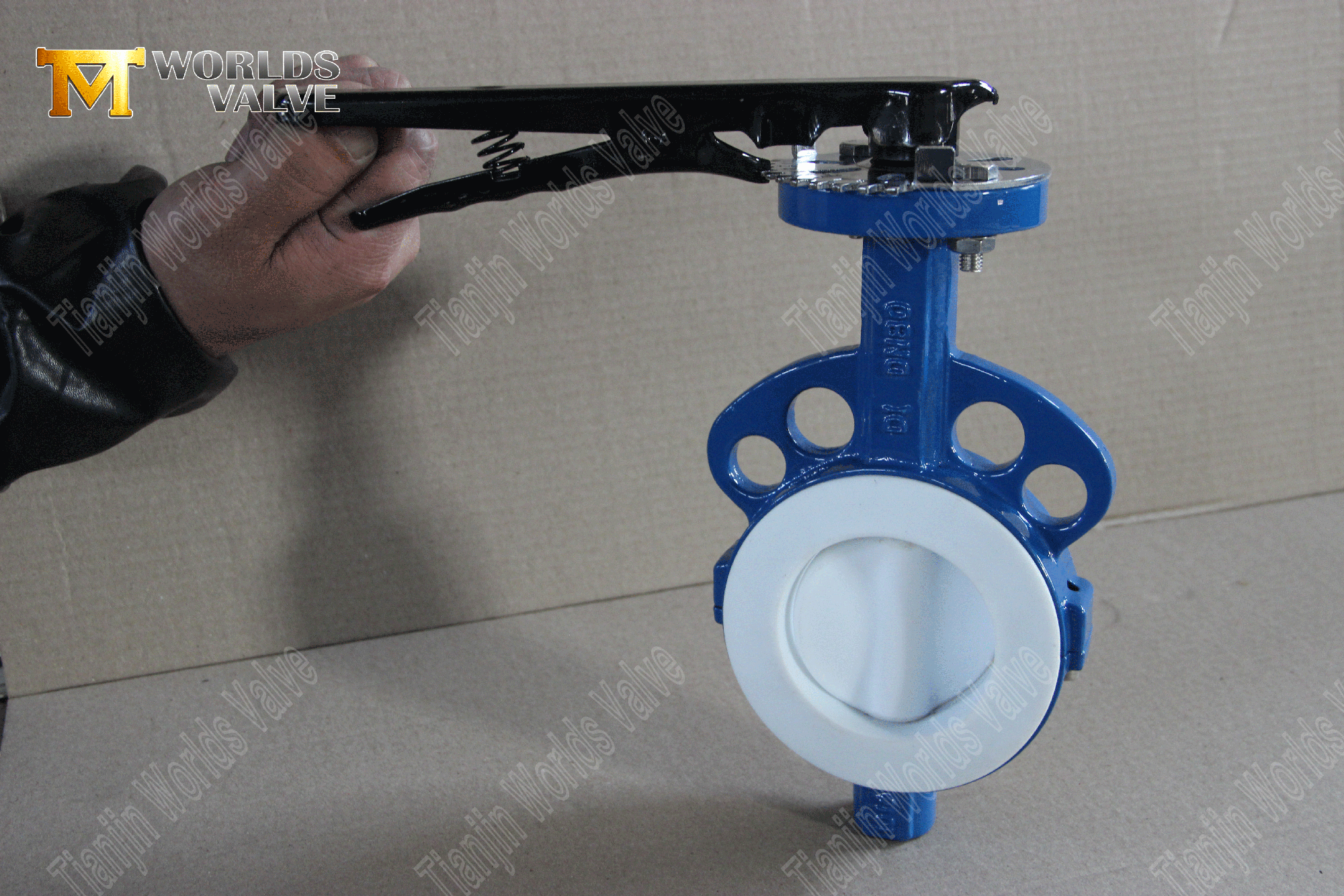 PTFE-Lined-Wafer-Butterfly-Valve- (6)