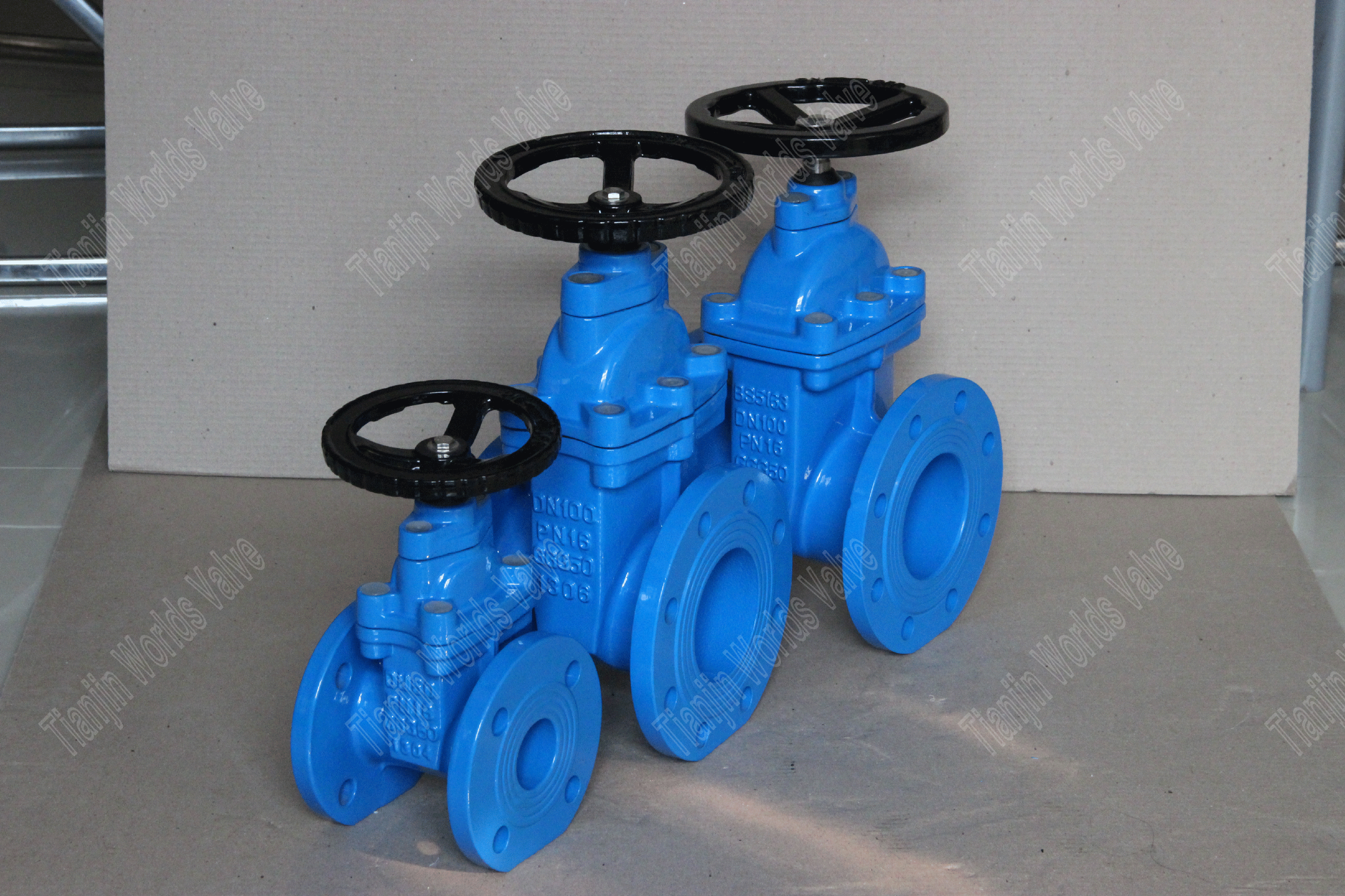 BS5163 EPDM Soupape de porte de tige non ass&eacute;r&eacute;e DI (6)