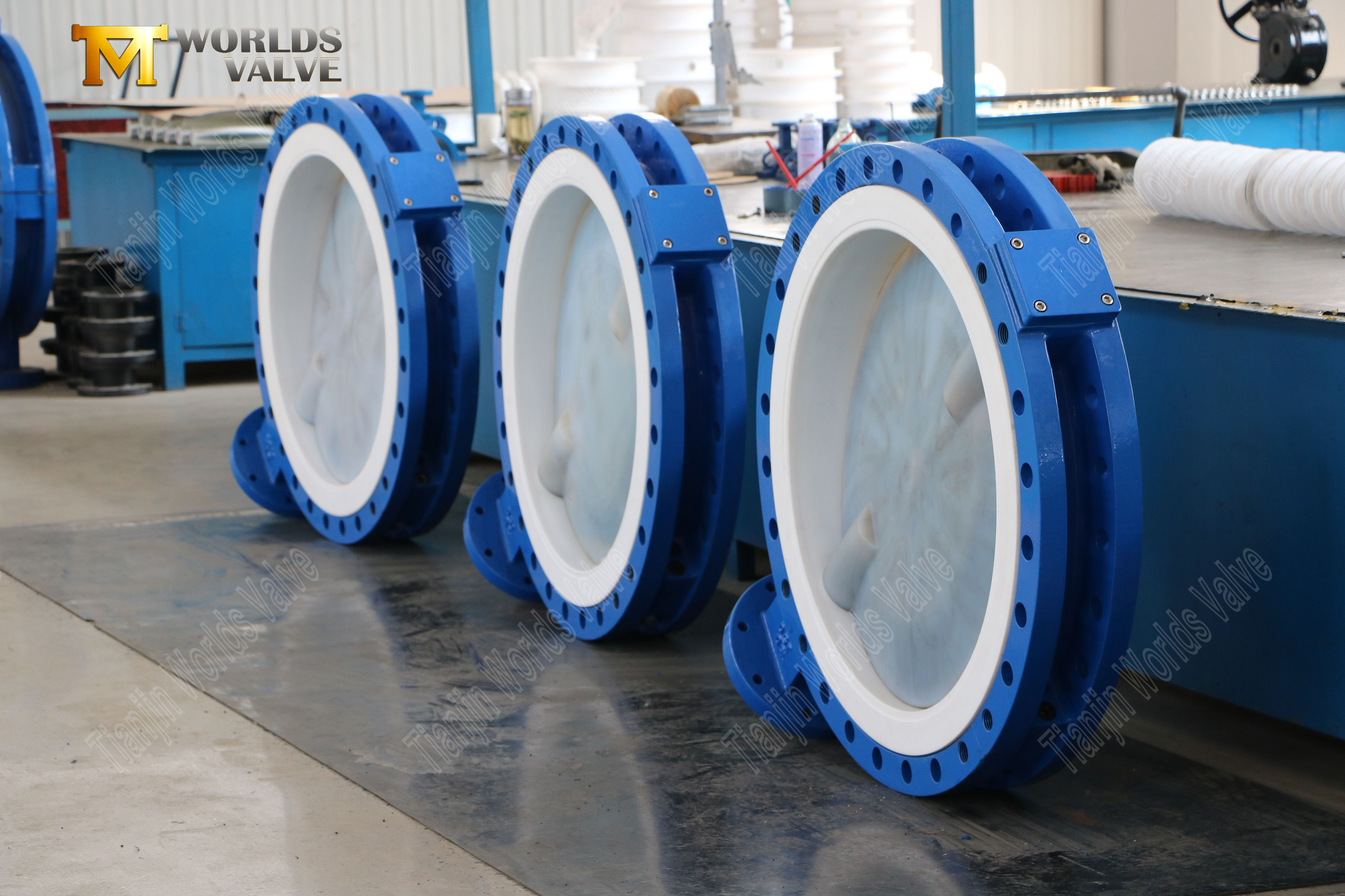 PTFE SI&Egrave;GE PFA DISC DISC DISC BUTPALVES ULTRA-PURE CORROSION DEFENSE-2 (2)