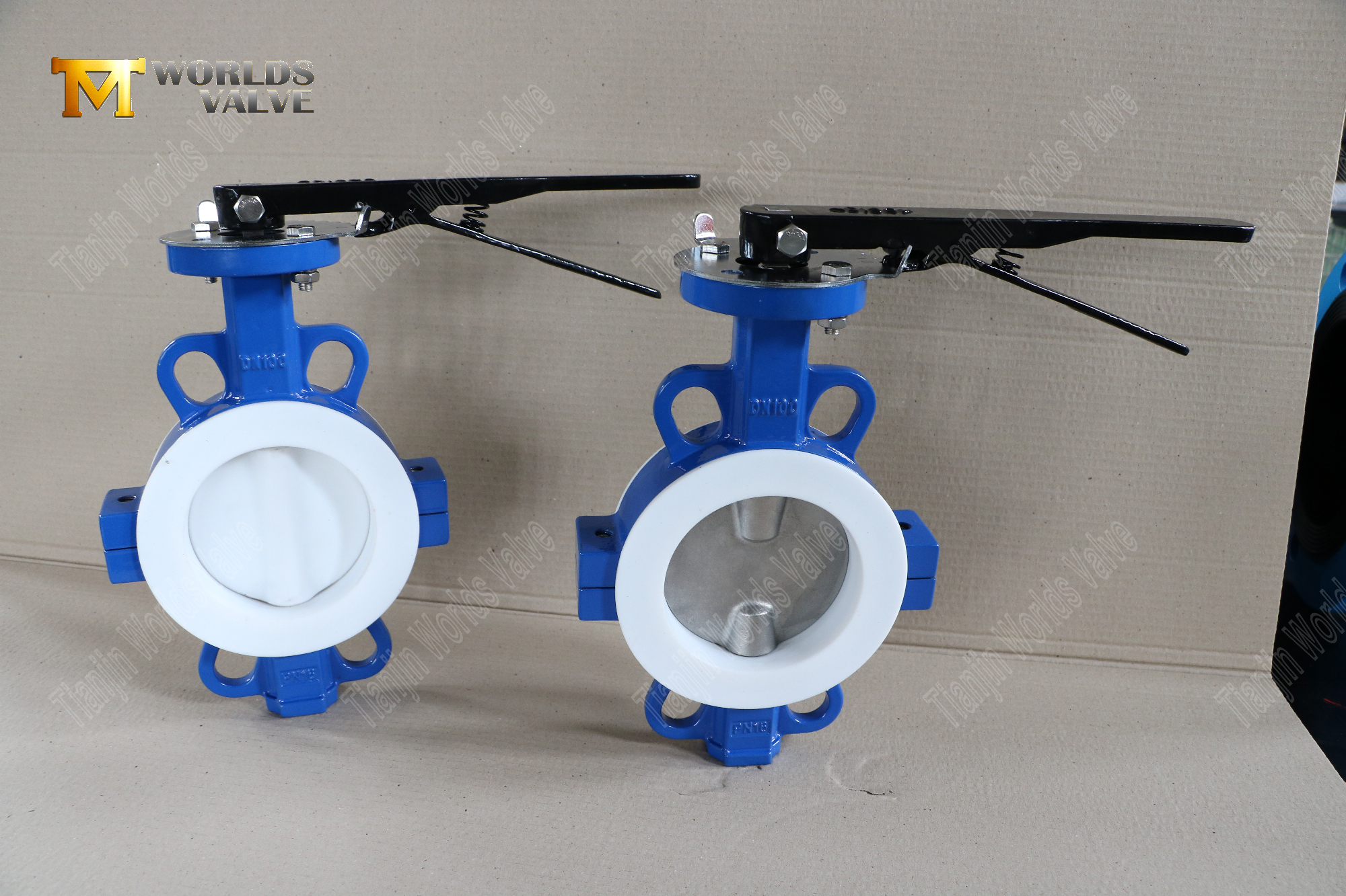 DN100-teflon-lin&eacute;-wafer-split-body-butterfly-valves - corrosion-r&eacute;sistant-fluw-control- (9)