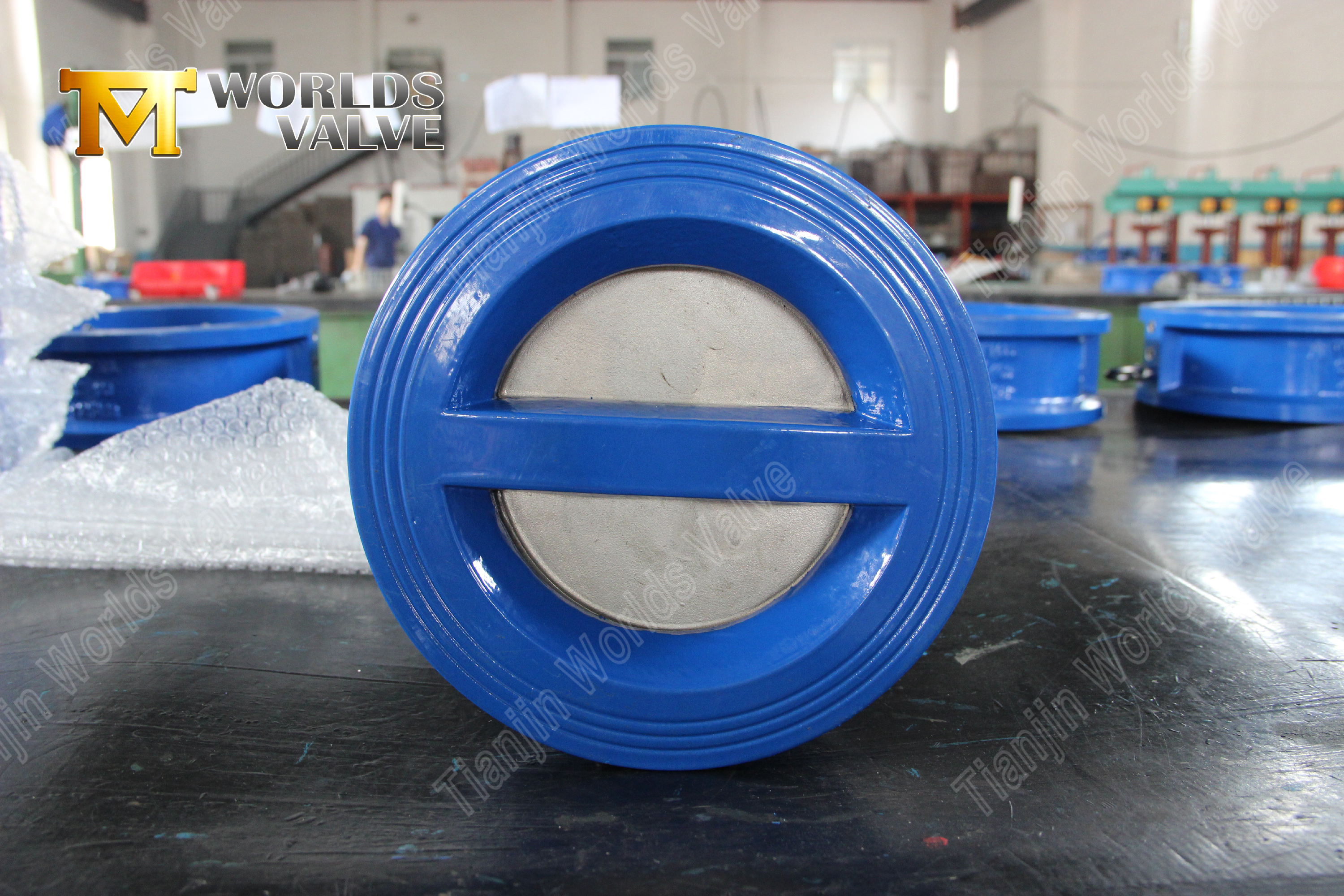 En acier inoxydable Double disque de type tranche non renvers&eacute;e Valve de fuite z&eacute;ro-fuite Backflow Prevention-1 (4)