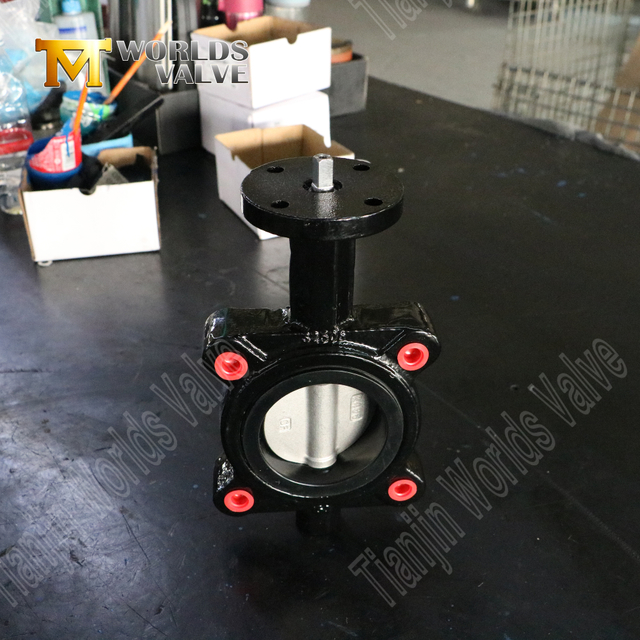 Vanne papillon EPDM avec disque CF8M | Solution de qualité industrielle de type LUG