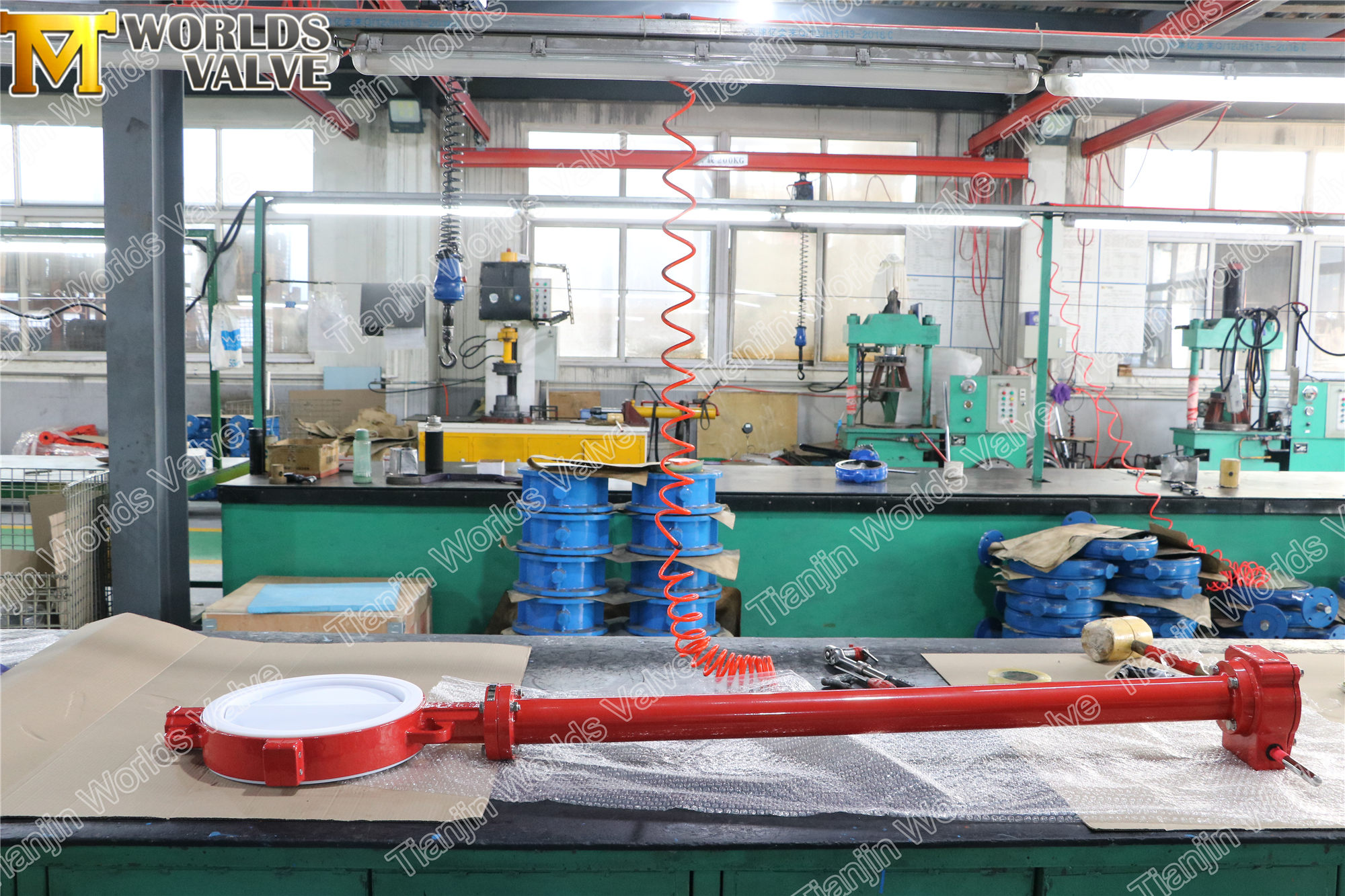 Vanne papillon doubl&eacute;e de PTFE avec tige d'extension (1)