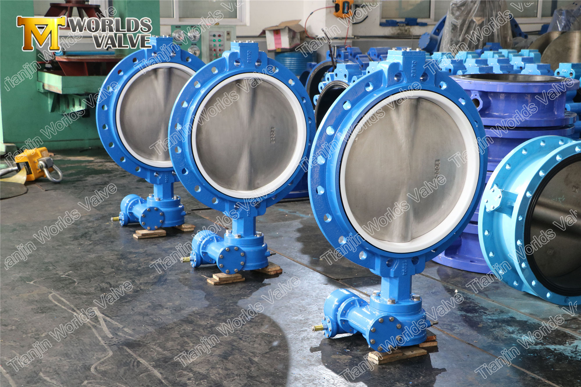 Soupape de type plaquette &agrave; bride unique Concentrique