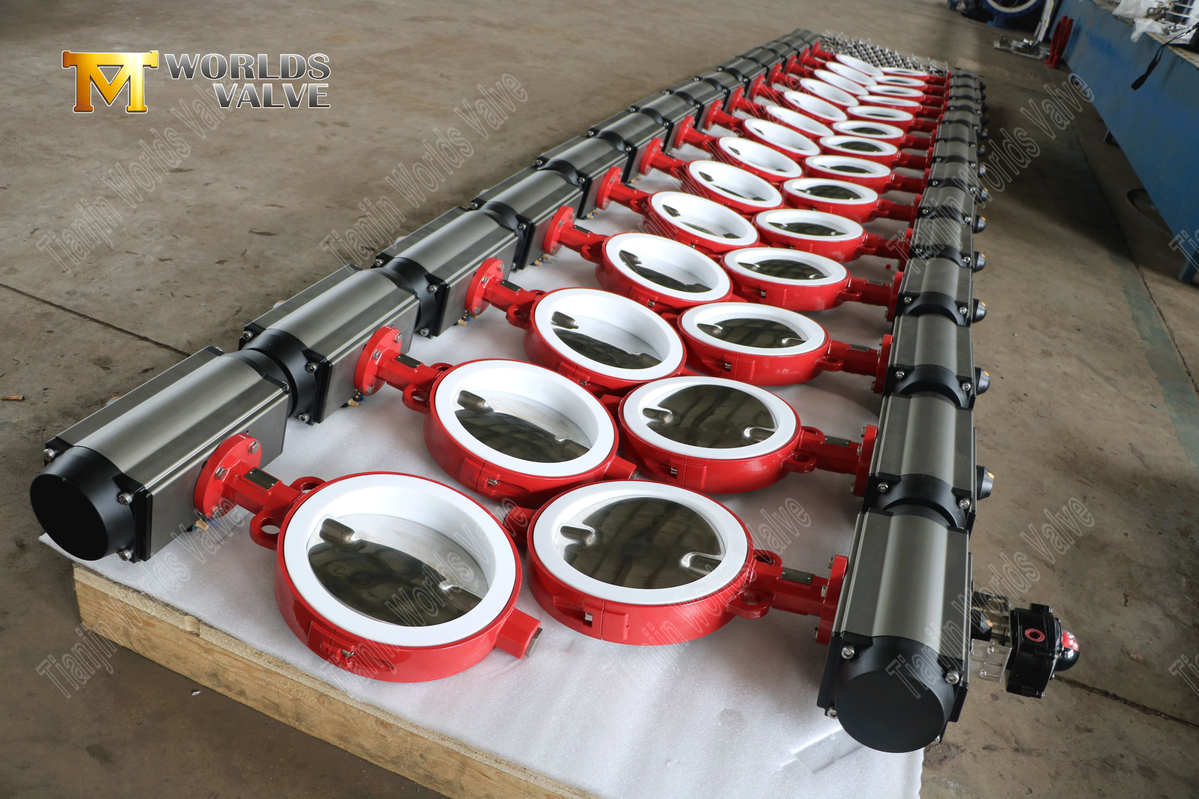 Vanne papillon rev&ecirc;tue de PTFE avec disque poli et actionneur pneumatique-1 (7)